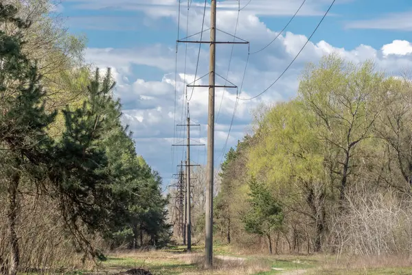 Πύργοι Μεταφοράς Ηλεκτρικής Ενέργειας Και Γραμμές Ηλεκτρικής Ενέργειας Στο Δάσος — Φωτογραφία Αρχείου