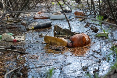 Ormandaki çöplük nehre saçılmış. Piknikten sonra gölde plastik çöp. İnsanlar yasadışı olarak çöp atıyor. Çevre koruma ile ilgili dünya ekolojisi problemi. Doğadaki çöp yığını.