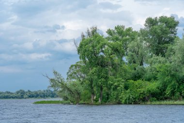 Doğal parktaki pitoresk nehirde bahar manzarası. Ağaçlar ve bitkiler yeşil nehir kıyılı su kenarları. Arka planda yemyeşil yapraklar ve sık ağaçlarla kaplı bir manzara. Doğadaki atmosferik su rezervi.