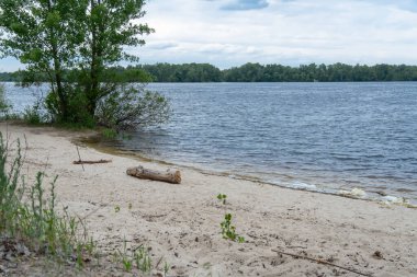 Doğal parktaki güzel nehir manzaralı kumsal. Ağaçlar ve bitkiler yeşil nehir kıyısında su kenarında. Suya yakın yemyeşil ve sık ağaçlı bir arazi. Yedek atmosfer.