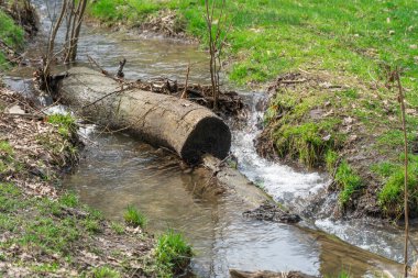 Bahar ormanlarında akan küçük şeffaf nehir. Yeşil bitkilerin arasından akan temiz akarsu. Baharda su sıçrıyor. Taze suyla birlikte hızlı akarsu. Islak zemin yüzeyi ve temiz dere.