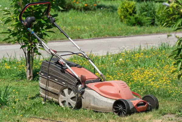 Bahçedeki çimenleri biçmek için çim biçme makinesi. Elektrikli çim biçme makinesi bahçıvanlıkta boş zaman aktivitesi için bir iş aracıdır. Bahçe bakımı ve yerli yaşam biçme makinesi. Peyzaj işleri.