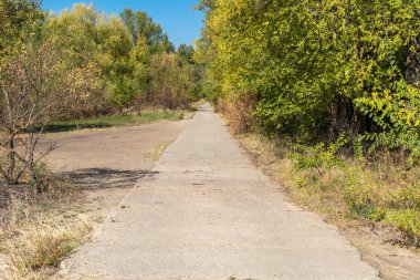 Sonbaharda yaprak döken ormanda boş bir yürüyüş yolu. Ağaçların içinde, ağaçların arasında, sarı yapraklı yol. Ağaçlı patika, sonbahar yapraklarının renginde. Atmosferik düşüş havası.