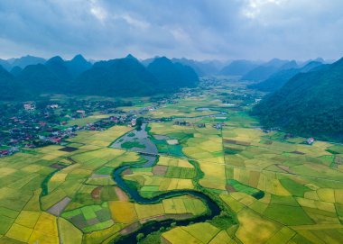 Bac Son Vadisi, Vietnam 'da pirinç tarlaları