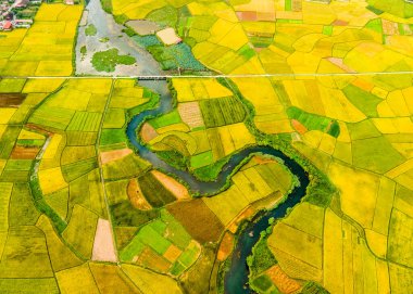 Bac Son Vadisi, Vietnam 'da pirinç tarlaları