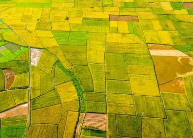 Bac Son Vadisi, Vietnam 'da pirinç tarlaları