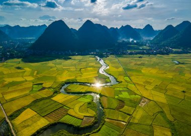 Bac Son Vadisi, Vietnam 'da pirinç tarlaları