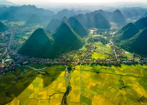 Risaie Mature Nella Valle Bac Son Vietnam — Foto Stock
