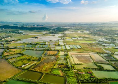 Van Long Doğal Rezervi, Ninh Binh, Vietnam 'daki kırsal bölge manzarası..