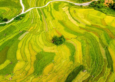 Pu Luong, Vietnam 'daki dağlık pirinç tarlaları havadan izleniyor..