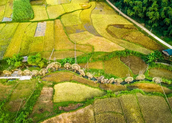 Water wheels near mountainous ripen rice fields in Pu Luong, Vietnam viewed from the air.