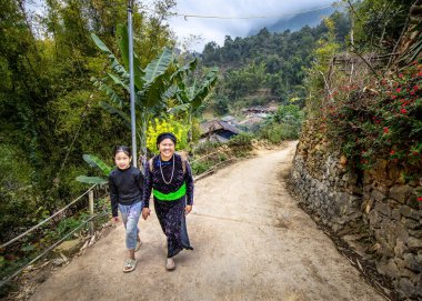 HA devi, VİETNAM - 17 Şubat 2024: Yeni yılda kırsal yolda yürüyen etnik kadın