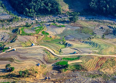 Su mevsiminde Kuzey Vietnam 'da pirinç tarlaları.