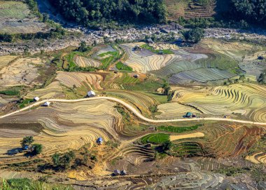 Su mevsiminde Kuzey Vietnam 'da pirinç tarlaları.