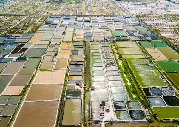 stock image Aerial view of shrimp breeding farms in Giao Thuy, Namdinh, Vietnam