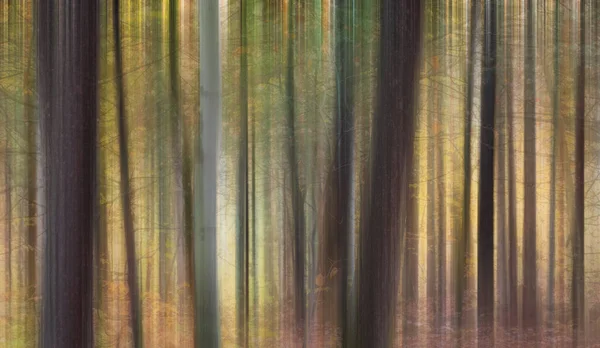 Dikey olarak bulanık ağaç gövdesi sonbahar orman arka planını bulanıklaştırır
