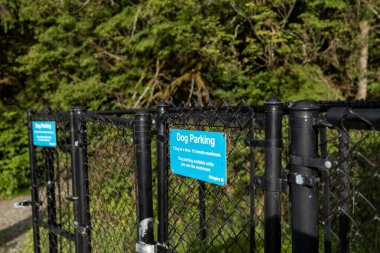 Buntzen Gölü, Kanada - 24 Temmuz 2022: Buntzen Gölü 'nün tasmasız alanındaki Köpek Otoparkı