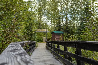 Ancient Forest / Chun T 'oh Whudujut Provincial Park, Kanada' da British Columbia, 16. Otoyol 'da Prens George ve McBride arasında yer almaktadır.