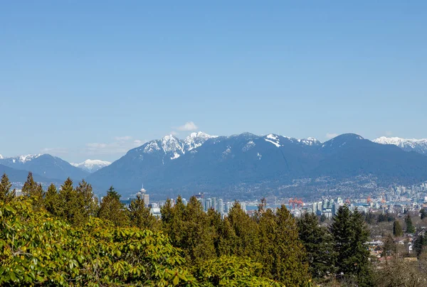 Kuva Esittelee Kaunis Näköala Sisällä Queen Elizabeth Park Vancouverissa Majesteettinen — kuvapankkivalokuva