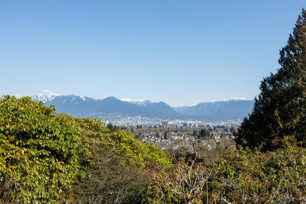 Zdjęciu Piękny Punkt Widokowy Wewnątrz Queen Elizabeth Park Vancouver Majestatycznymi — Zdjęcie stockowe
