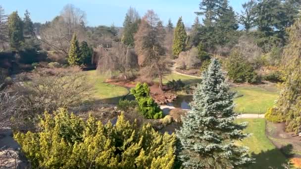 Fotoğraf Vancouver Daki Kraliçe Elizabeth Park Taki Güzel Quarry Gardens — Stok video