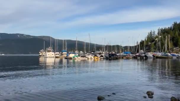 Deep Cove Canada March 2023 View Deep Cove Yacht Club — Stock Video