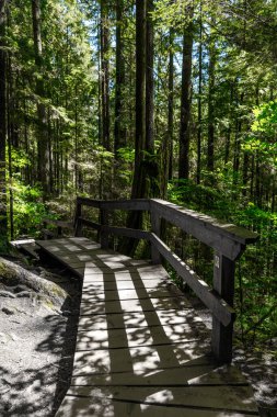 Lynn Canyon Park Alanı, Kuzey Vancouver 'daki (Twin Falls Loop Trail) tahta kaldırım manzarası