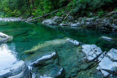 Lynn Canyon Parkı 'ndaki Twin Falls Şelalesi yakınlarında turkuaz suyu olan güzel bir yüzme yeri.