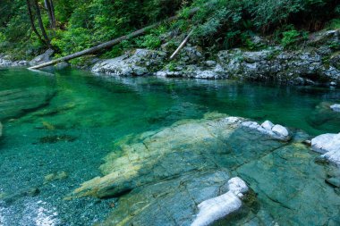 Lynn Canyon Parkı 'ndaki Twin Falls Şelalesi yakınlarında turkuaz suyu olan güzel bir yüzme yeri.
