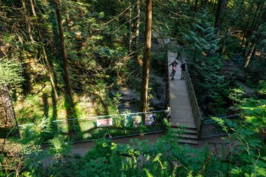 Vancouver, Kanada - 4 Haziran 2023: Lynn Canyon Park Alanı, Kuzey Vancouver 'daki tahta tahta kaldırım (Twin Falls Loop Trail) manzarası