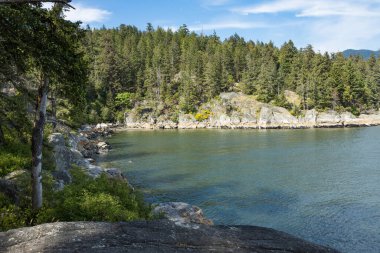 Batı Vancouver 'daki Deniz Feneri Parkı' nın içindeki Starboat Cove manzarası