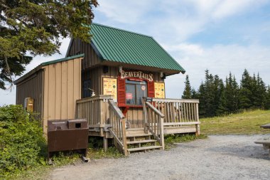 Vancouver, Kanada - 19 Ağustos 2023: Vancouver 'daki Grouse Dağı' nın tepesindeki Kunduz Kuyruklu Fırını