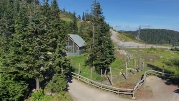 Kilátás Bear Den Épületre Grizzly Habitat Belül Grouse Mountain Tetején — Stock videók