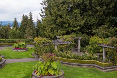 UBC Botanik Bahçesi 'nden güzel bir sahne. Vancouver' ın arka planında okyanus ve dağları gösteriyor..