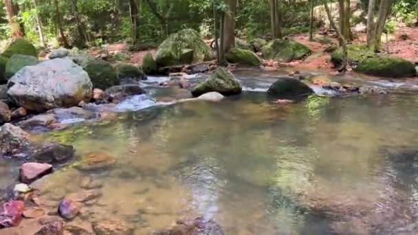 Koh Samui Thailand December 2023 Den Vackra Namuang Waterfall Gömd — Stockvideo