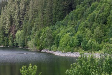 Bereketli, ormanlı dağların ve Capilano Nehri Bölgesel Parkı 'nda bulutlu gökyüzünün olduğu sakin gölün manzarası.