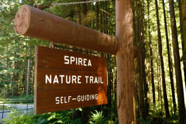 Altın Kulak İl Parkı 'nda, orman zeminine karşı sergilenen kendi kendine yol gösteren Spirea Doğa Yolu için ahşap tabela.