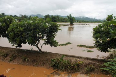 Pai, Tayland 'da suların sularla kaplı olduğunu, yemyeşil bitki örtüsü ve bulutlu gökyüzünün altında sisli dağlarla çevrili olduğunu gösteren tropik bir manzara.