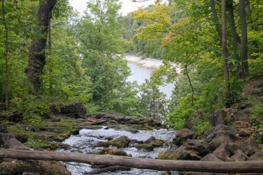 Hilton Falls Conservation Area stream flowing over rocky terrain with a wider river visible in the background through lush green forest foliage clipart