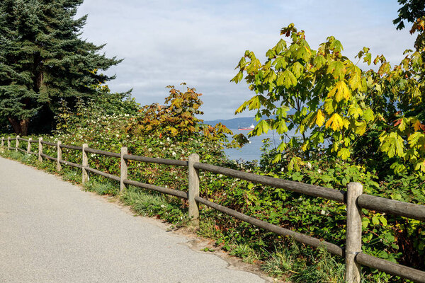 Serene park path lined with tall trees and lush greenery, winding through a peaceful Kitsilano