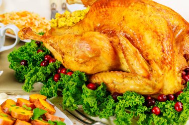 Yabanmersini ve otlarla süslenmiş bir hindi mükemmel bir Şükran Günü yemeğidir..
