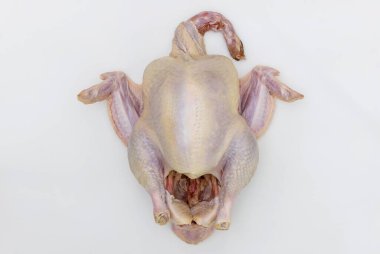 Pişirmek için çiğ hindi hazırlıyorum. Şükran Günü.