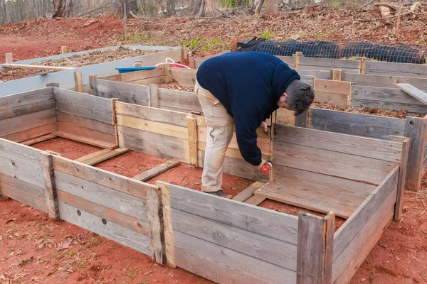 男性は育てられた庭のベッドのための新しい木製フレームを構築しています ロイヤリティフリーのストック写真
