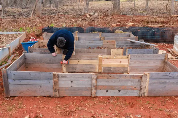 Wooden frames for raised garden beds are being constructed by men.