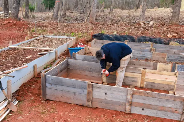 A man builds a raised garden bed from a wooden frame.