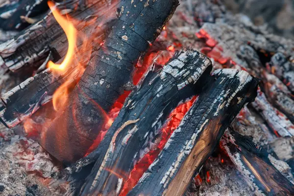 Sebuah Api Unggun Dari Kayu Terbakar Dengan Api Merah Dan Stok Gambar