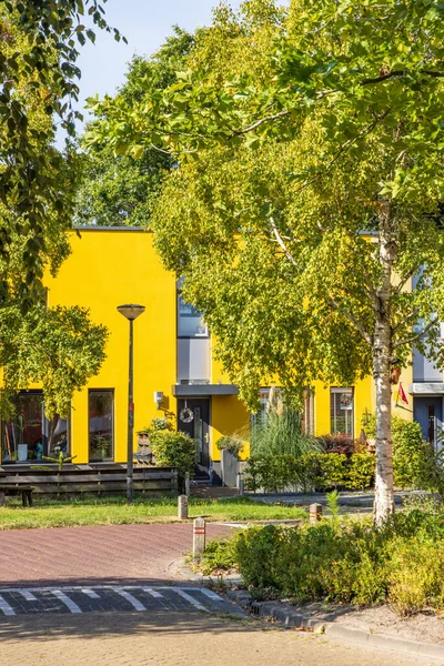 Красочные Дома Willem Dreeslaan Маруме Муниципалитет Westerkwartier Провинции Гронинген Нидерланды — стоковое фото