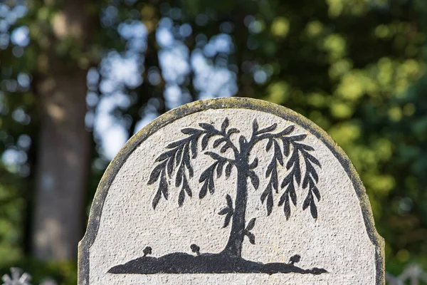 Marum Nizozemsko Září 2022 Starý Hrob Stromem Života Nebo Plačící — Stock fotografie
