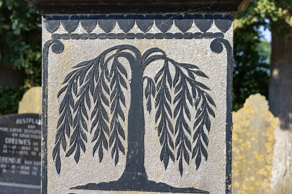 荷兰马鲁姆 2022年9月2日 荷兰格罗宁根省韦斯特卡瓦蒂埃市马鲁姆墓地的一座有生命树或垂柳标志的古老坟墓 — 图库照片