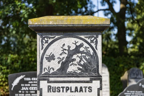 Marum Nizozemsko Září 2022 Starý Hrob Symbolem Stromu Motýla Hřbitově — Stock fotografie